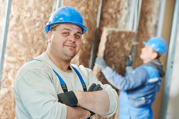 Best Geographic-Specific Insulation Services in Hawthorn Woods, IL