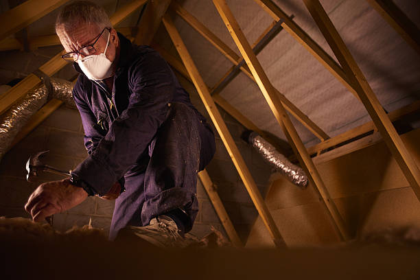 Best Fiberglass Insulation in Hawthorn Woods, IL